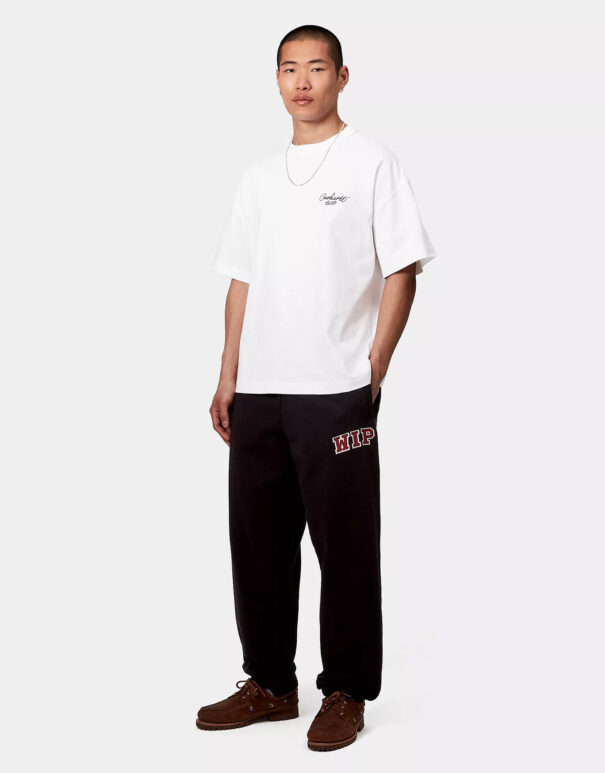 Carhartt WIP – S/S Signature Script T-Shirt - immagine 5